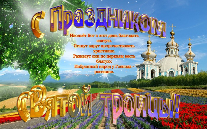 Дуэт скрипачей