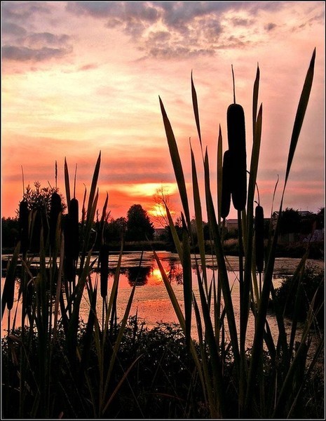 Я опять выхожу под вечер