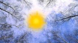 Весна пришла, пришла весна...