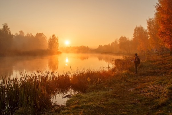 Осеннее утро.