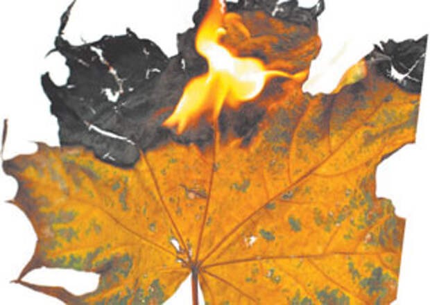 Вопросы к сентябрю...