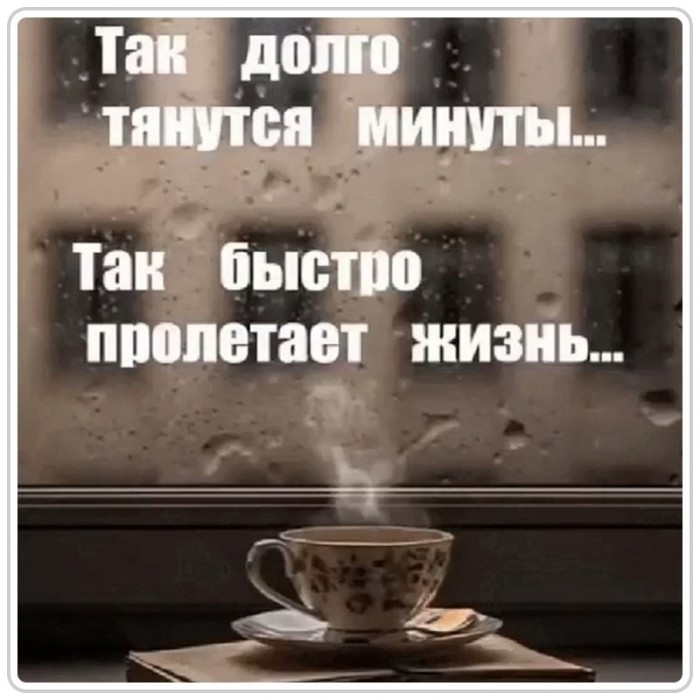 Жизнь мчится.