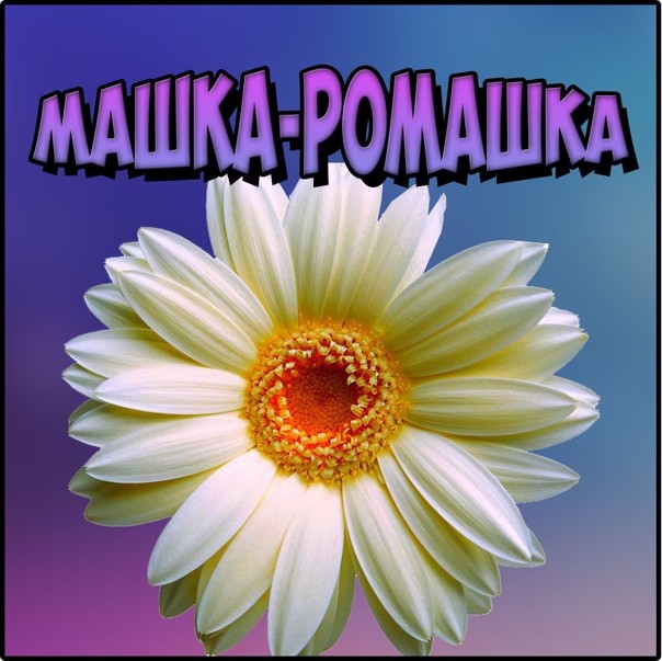 Дарю ромашки теперь не Машке. ( отзыв на стих Чёрного "Ромашки")