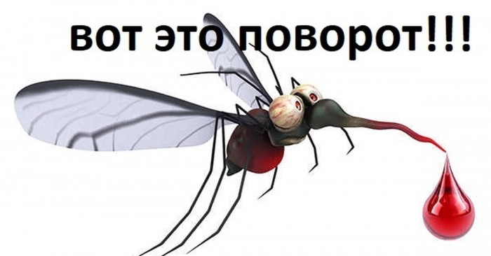 Незавидная судьба.