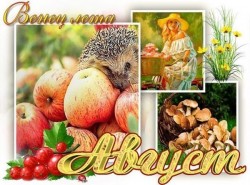 Вот и август.