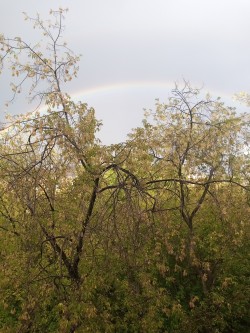 Николай