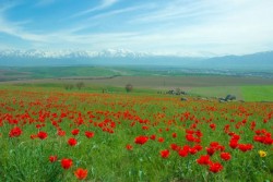 Менің туған жерім - Мой край родной