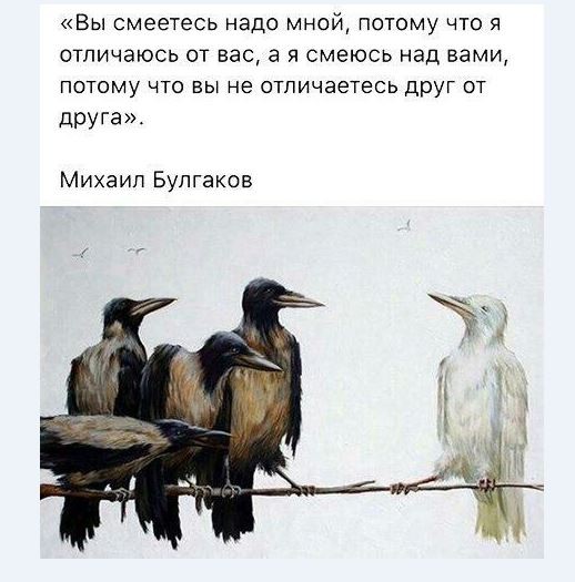 Не суди и не судим будешь