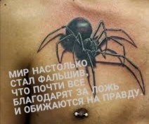 Не стоит верить