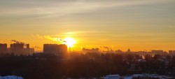 Медведь и Лиса (Басня)