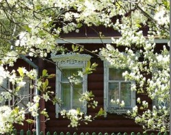 Прекрасного детства страна.