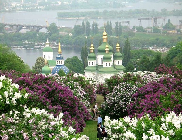 Ще цвістиме Україна