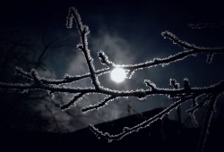 Валера