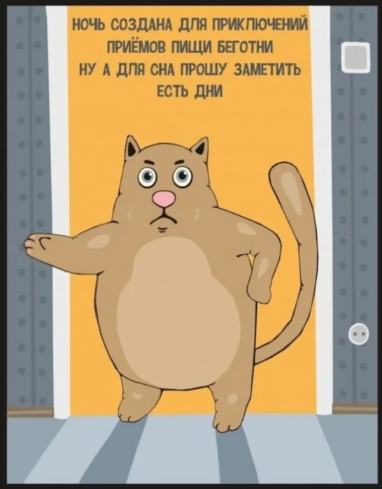 Истины от кота (с)