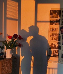 &shy;В лучах вечернего багрянца