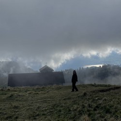 32