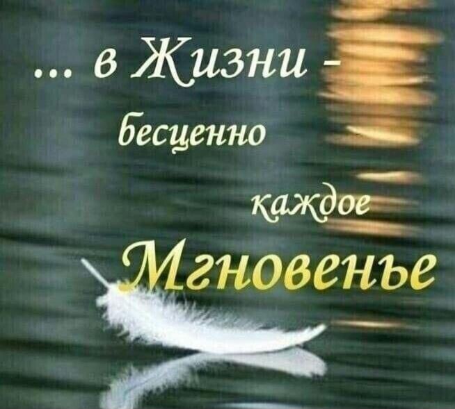 Мудрости мотив