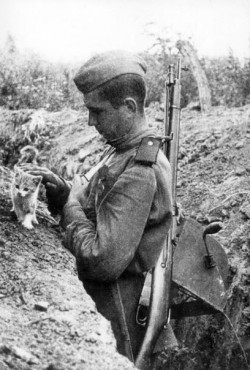 На стыке