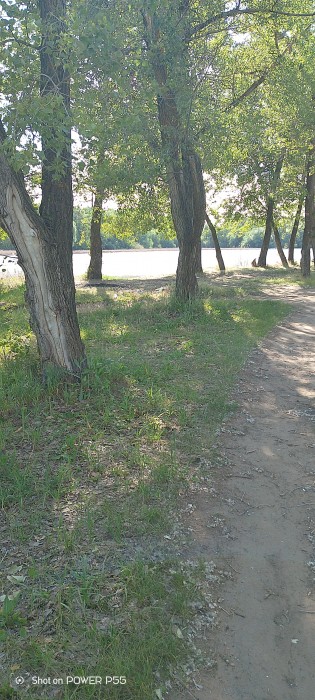 Солнце бликами играет на воде