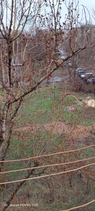 Весна дождливою капелью