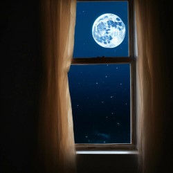 Луна в моем окне