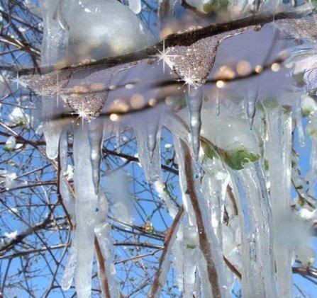 Февраль вдыхает по утрам весну