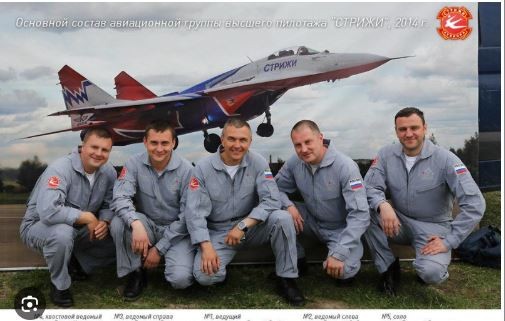 Стрижи отдыхают от боя