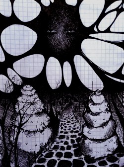 20241114_081517