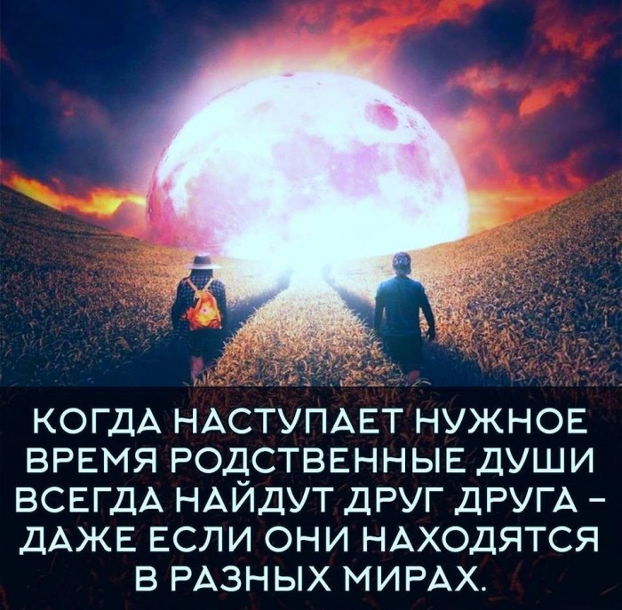 Родные Души