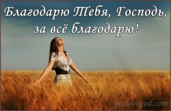 Я Тебе Благодарна! (песня)