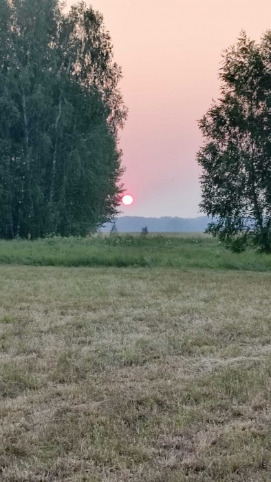 Жизнь не так уж и плоха...