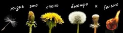 Представьте вечер вы
