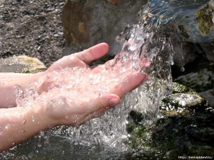 Воды из родника напьюсь...