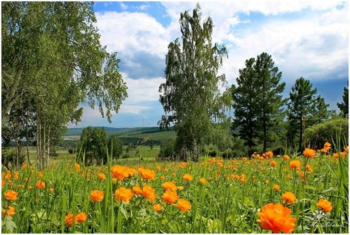 Сибири дальние края...