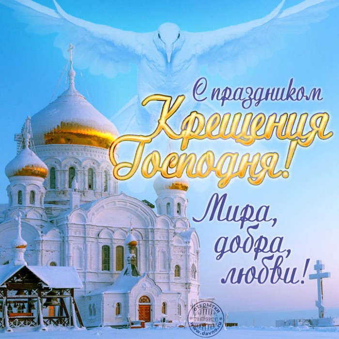 Парящий в небе Голубь...