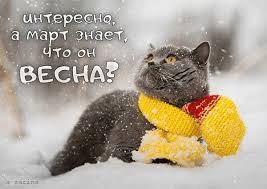 МАРТ