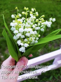 За закатом вновь рассвет настанет.