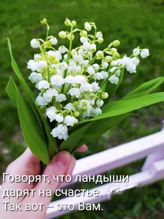 За закатом вновь рассвет настанет.