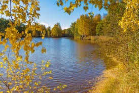 Осень в парке