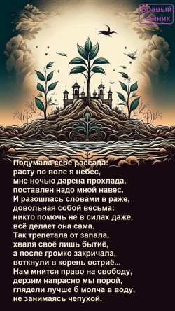 Подумала себе рассада...