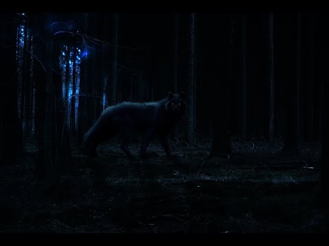 Волчица