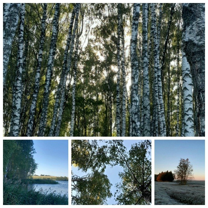 Белая Русь