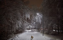 Зимняя зарисовка