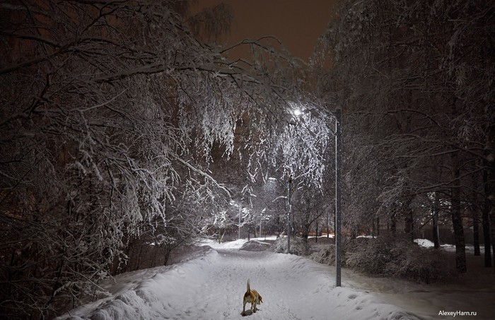 Зимняя зарисовка