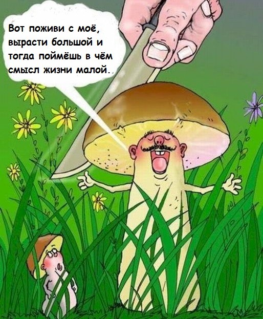 Басня для грибников