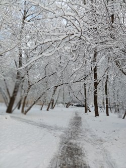 Встреча поздней осени с зимой