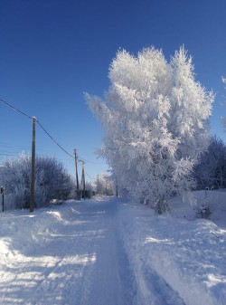 Быть человеком надо, а не зверем