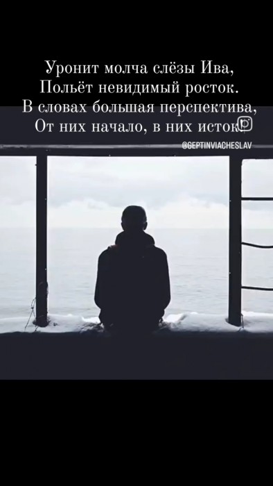 Сука любовь