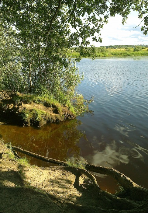 Стёртая тропинка в лето