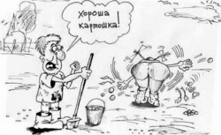 Баллада о картошке